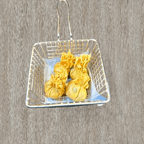 Best Money Bag (4pcs) in Forest Hills, NY